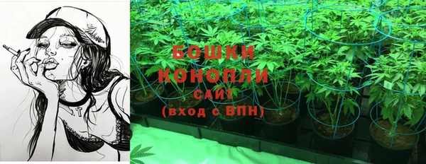 дживик Аркадак