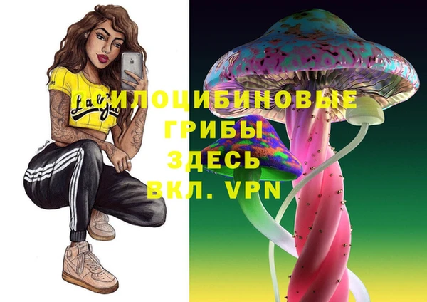 дживик Аркадак