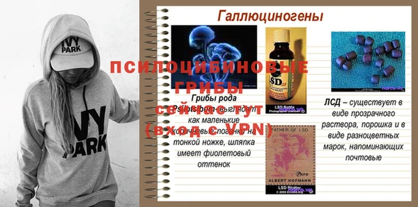 дживик Аркадак