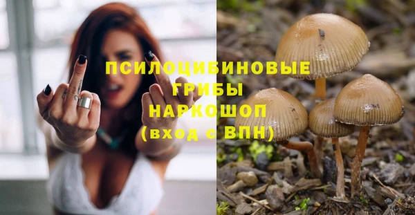 дживик Аркадак