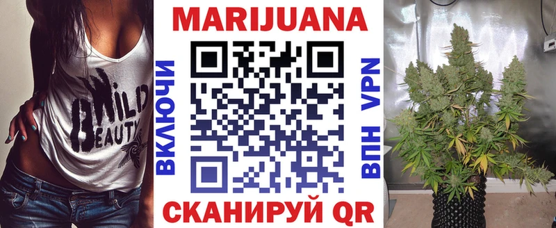 где продают   Кизел  Бошки Шишки White Widow 